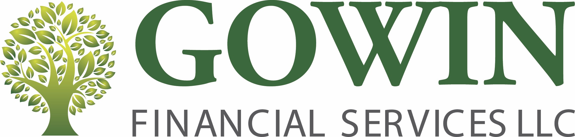 Gowin Financial Services